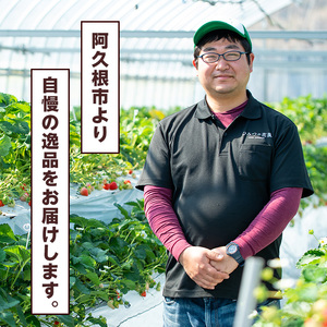 阿久根市産いちご使用！果実酒ストロベリーシードル「こもれびクラフト」(330ml×6本) 飲料 飲み物 アルコール お酒 果実酒 果物 フルーツ 苺【農園ガーデン空】akn026-06