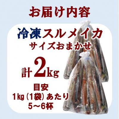 ふるさと納税 普代村 三陸水産 冷凍スルメイカ 約2kg (1kg×2袋) いか |  | 03