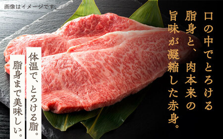 【数量限定】【川棚町で育った】長崎和牛 サーロインステーキ　約230g×4枚 / 肉 牛肉 長崎 ステーキ 2人前 ブランド牛 ステーキ肉 ステーキ 高級ステーキ 高品質ステーキ サーロイン 高品質サ