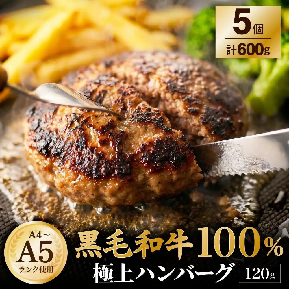 【ふるさと納税3.0対象】【A4～A5ランクの黒毛和牛100%】 ハンバーグ 120g×5個 （計600g）