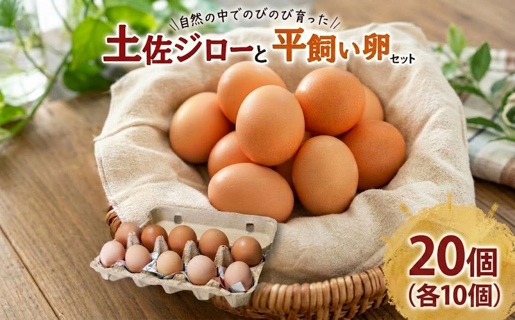 土佐ジローの卵と平飼い卵 セット 各10個(10個×2パック) 合計20個 | たまごのおくだ 新鮮 土佐ジロー 平飼い 卵 たまご 20個 鶏卵 卵黄 エッグ たまごかけ ご飯 玉子 タマゴ 玉子焼