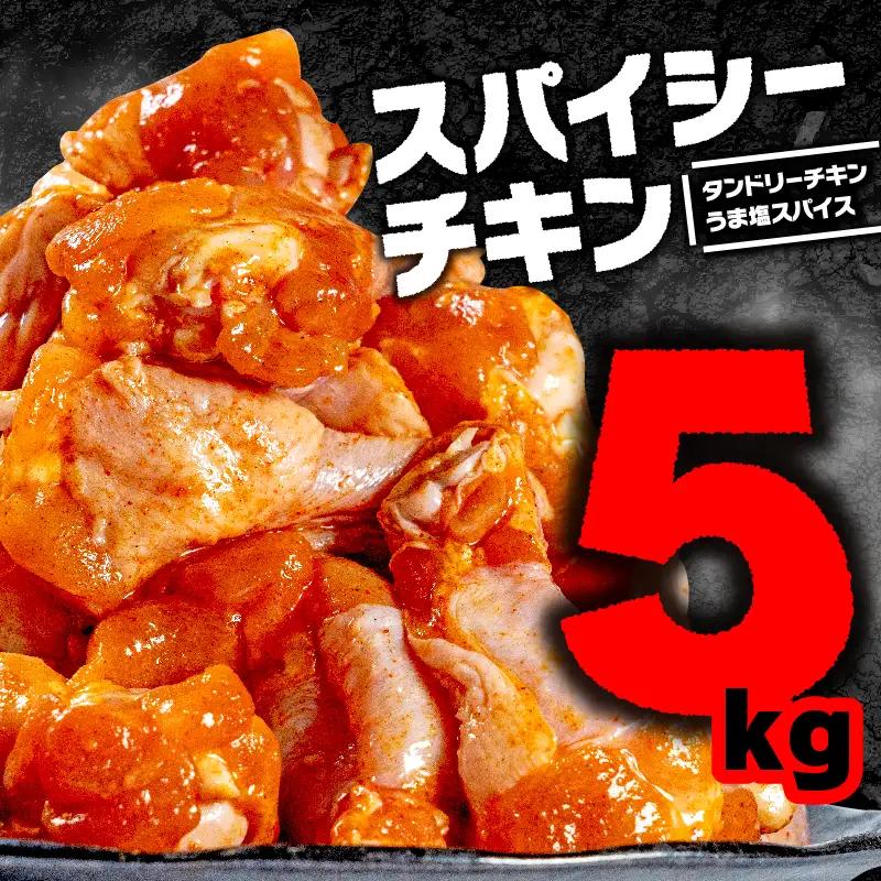 【お肉専門店からお届け】 スパイシーチキン 2種セット 5kg(4袋×2)  
