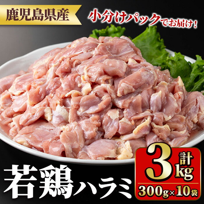 【ふるさと納税】鹿児島県産若鶏ハラミ(300g×10袋・合計3kg) 国産 鶏肉 鳥肉 肉 若鶏 お肉 ハラミ 希少 小分け 冷凍 真空パック【TRINITY】