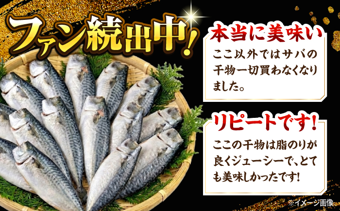 【訳あり】漁師町佐島 サバ 干物 約2.0kg（15枚前後）【石川水産】 [AKCX018]