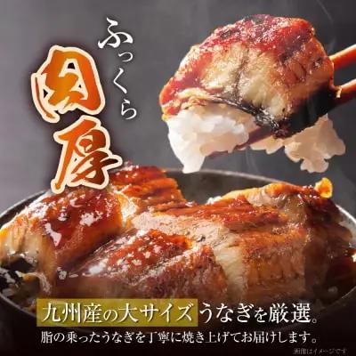 Z61-72 国産 うなぎ 蒲焼大サイズ4尾（計670g以上） うなぎ
