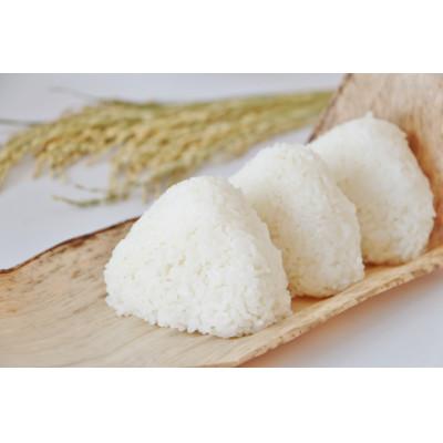 ふるさと納税 いすみ市 【毎月定期便】千葉県いすみ市産コシヒカリ10kg(5kg×2袋)全3回 |  | 03