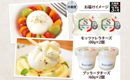 チーズ 定期便 3ヶ月 詰め合わせ 各2個 フレッシュ チーズ