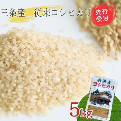 ふるさと納税 三条市 先行受付 新潟県三条産コシヒカリ 従来品種 5kg×1袋 令和7年産 精米 【016S084】