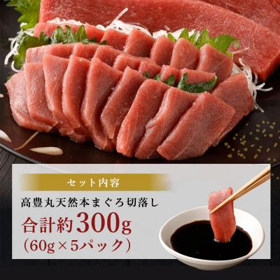 ふるさと納税 室戸市 お刺身ちょこっとパック　天然本まぐろ赤身5パック【アイルランド産天然本鮪 訳あり 規格外】 |  | 03