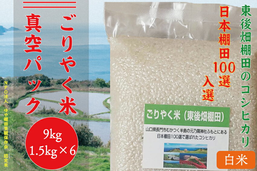【ふるさと納税】お米 米 こめ 白米 新米真空パック こしひかり コシヒカリ 精米 9kg ごりやく米 「東後畑棚田こしひかり」 白米9kg (白米真空パック1.5kg×6個) 真空パック 真空 おにぎり 棚田 棚田米 長門市 小分け (1350)