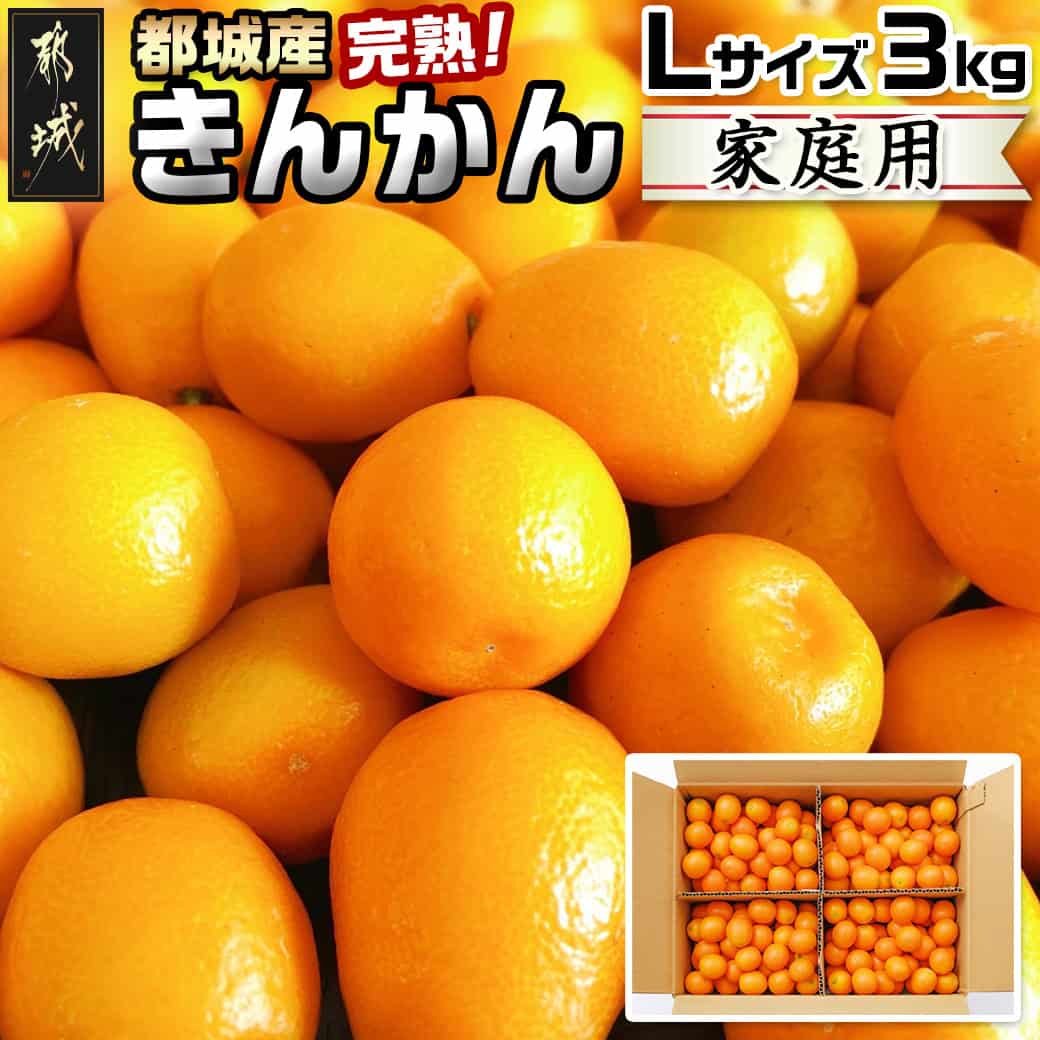 【ふるさと納税】【先行予約！】【2月〜3月お届け】都城産完熟きんかん 家庭用3kg (Lサイズ) - 都城産 完熟きんかん きんかん Lサイズ 約3kg 柑橘類 2月〜3月お届け 家庭用 先行受付 送料無料 14-B501【宮崎県都城市は2年連続ふるさと納税日本一！】