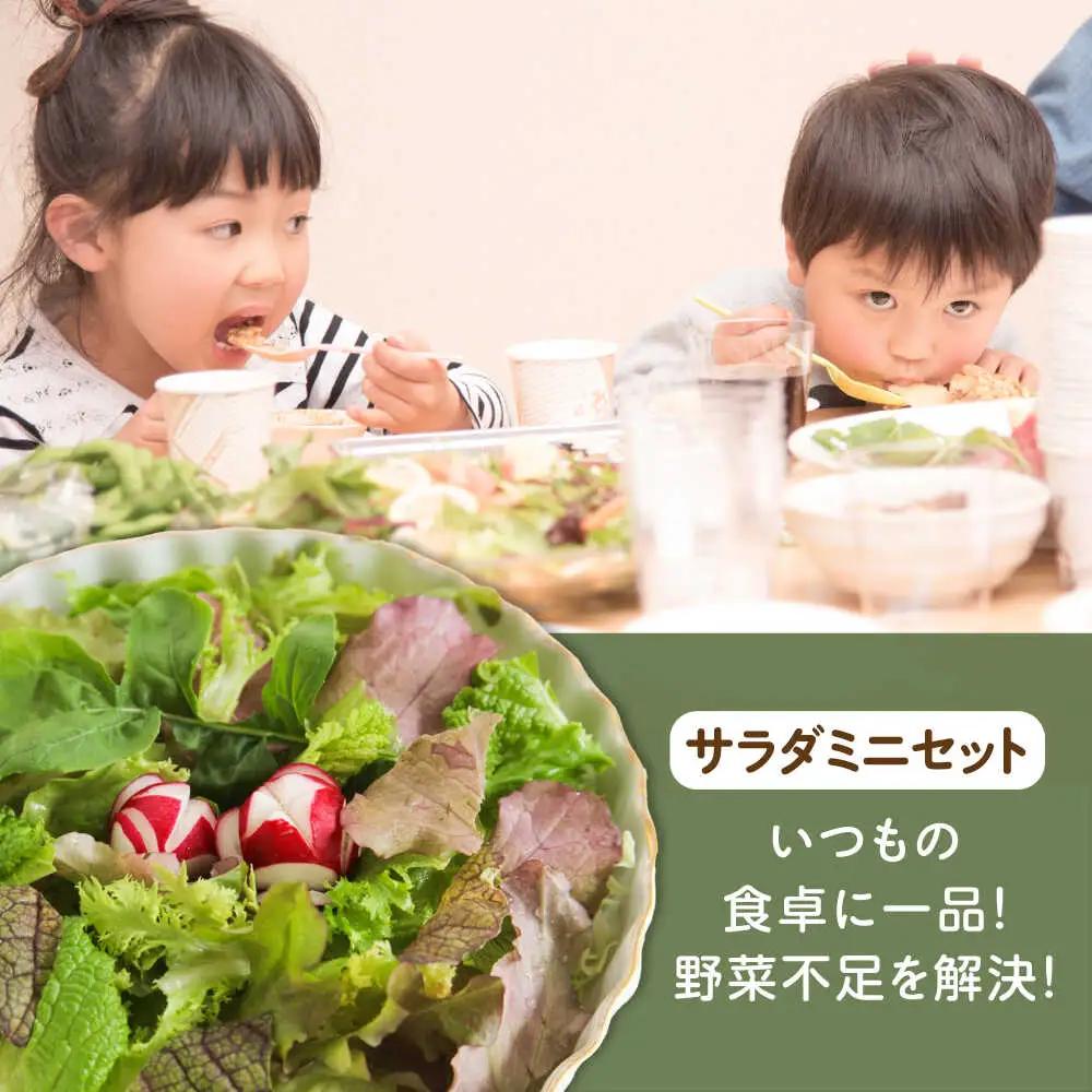 【全6回定期便】オーガニック サラダミニセット 7種×1パック / 佐賀県 / 株式会社サガンベジ [41ANCH005]