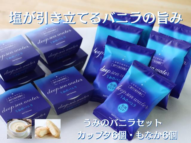 
            【 TV で紹介されました！】 うみの バニラ セット 室戸 海洋深層水使用 12個入り 塩 バニラ アイスクリーム もなか 最中 カップアイス アイスミルク 国産乳使用 厚切りもなか ご当地スイーツ 人気 お取り寄せ グルメ ギフト プレゼント お中元 おやつ 家族向け 高知県 室戸市 松崎冷菓
          