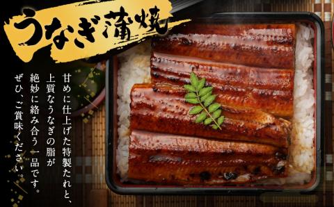 【丑の日／配達日指定可能】鰻天屋の九州産うなぎ 蒲焼 10尾 セット (1尾あたり160～189g)