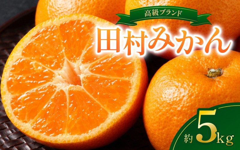 高級ブランド田村みかん　5kg【予約】※2026年11月下旬～2027年1月下旬頃に順次発送予定(お届け日指定不可)【uot504B】