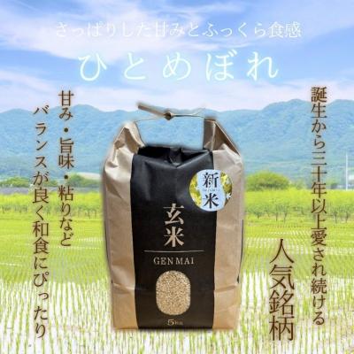 ふるさと納税 関市 【令和7年産】米 ひとめぼれ 玄米 5kg こめ コメ お米 |  | 02