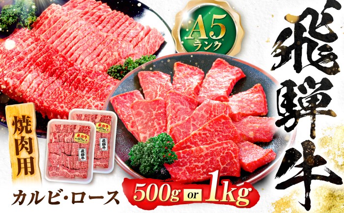 
                  【選べる容量】飛騨牛 A5等級 焼肉用 カルビ・ロース カルビ カルビ焼肉 カルビ肉 ロース 焼肉 焼き肉 やきにく 焼肉セット 焼肉用 赤身 最高級 a5 A5 牛 和牛 牛肉 お肉 高級 贈答ギフト 岐阜市 / 肉の松久 [ANIP005]
                