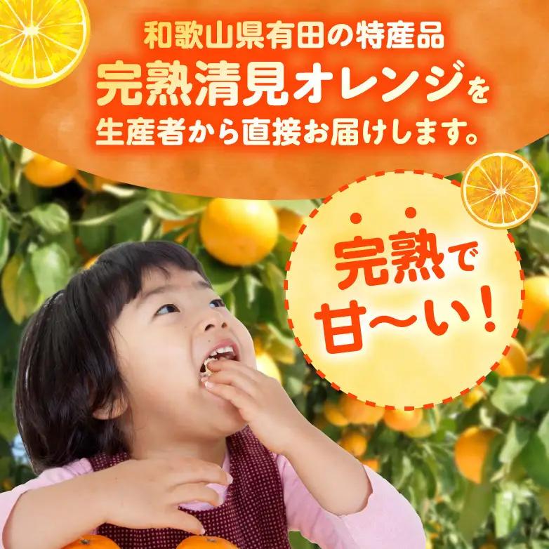 【2027年先行予約】和歌山県有田産 完熟 清見オレンジ 5kg ひとつひとつ丁寧に厳選！生産者から直送【清見 みかん オレンジ タンゴール きよみ 柑橘 和歌山 有田】_ZN6001n