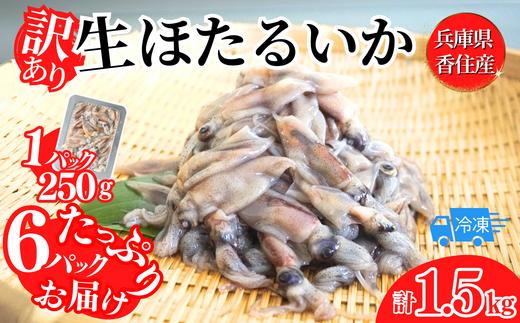 【先行予約】【訳あり ほたるいか 小分け 250g×6パック 1.5kg 香住産 冷凍】令和7年2月下旬以降発送 刺身でも食べられる美味しいホタルイカをぜひ。兵庫県はホタルイカ水揚げ日本一！ ホタルイ