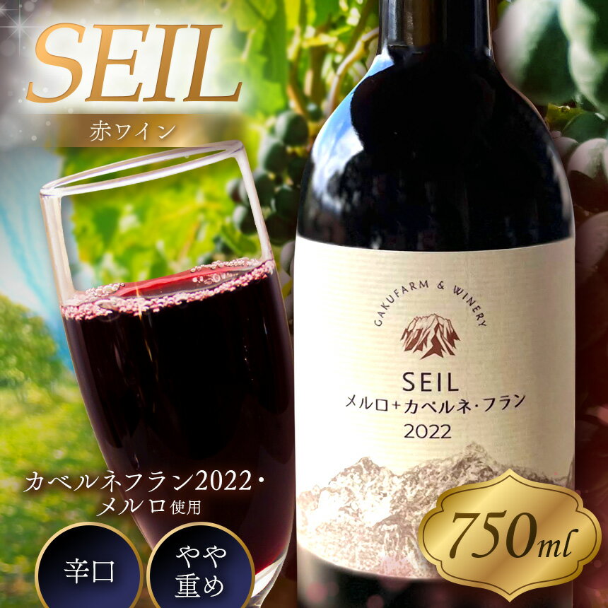 【ふるさと納税】赤ワイン　SEILメルロ＋カベルネフラン　2022｜ワイン 信州 赤ワイン ぶどう 長野県 松本市 希少価値 わいん 酒 おさけ さけ