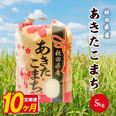ふるさと納税 八郎潟町 【毎月定期便】あきたこまち 5kg【白米】 秋田県産全10回