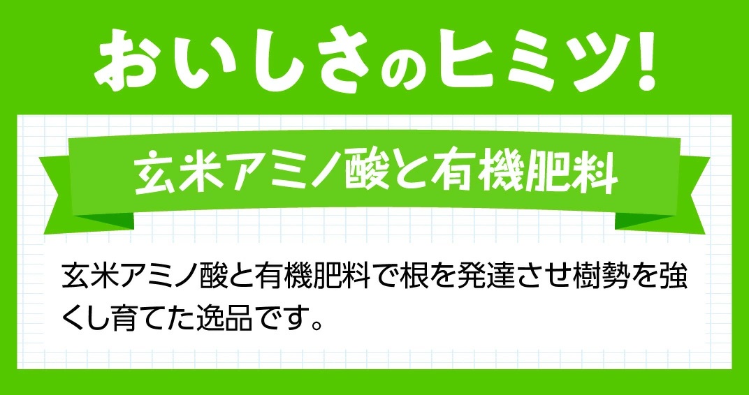 【令和8年発送】宮崎県産完熟マンゴー「果実の宝石」　4L×1玉 【 果物 フルーツ マンゴー 宮崎県産 みやざきマンゴー 先行予約 数量限定 期間限定 】