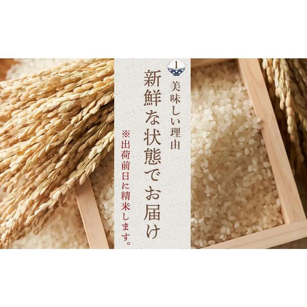 米【令和7年産】 夢つくし 5kg セット| 米 