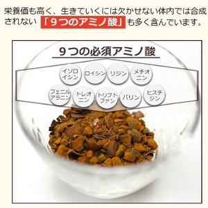ムクナ豆 焙煎茶 60g×2パック 合計40包 ムクナ豆茶 ムクナ豆 お茶 茶 ティーパック 八升豆茶