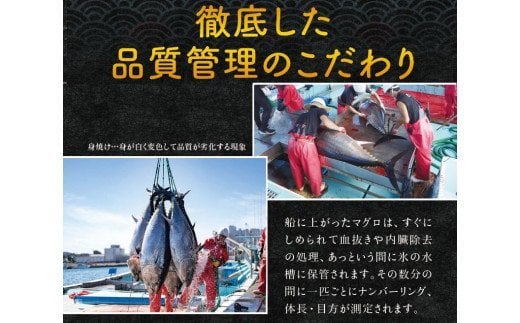 本マグロ（養殖）トロ＆赤身セット 500g【1か月以内に発送】／まぐろ 刺身 鮪 本鮪 クロマグロ 赤身 中とろ 大トロ【nks110】