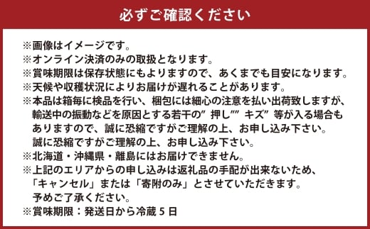 岡山県産 シャインマスカット 晴王 1房 約750g【2026年9月上旬-10月下旬 発送予定】｜種無し 皮ごと食べる 旬の美味しさ フレッシュ 先行予約 ハレノフルーツ