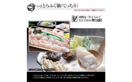 【若男水産】3年とらふぐ特選フルコースセット 豪華10点盛り(5～6人前) 