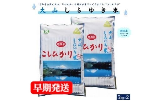 
            【３～７営業日以内に出荷】令和6年産 大山しらゆき米10kg（無洗コシヒカリ・5kg×2）
          