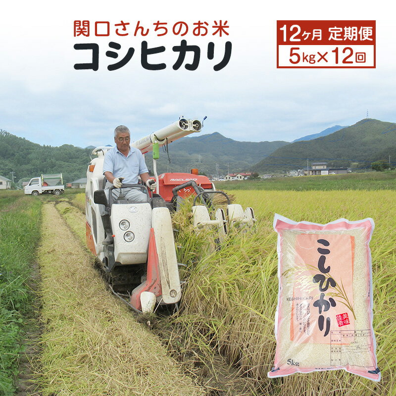 【ふるさと納税】米 定期便 12ヶ月 6ヶ月 関口さんちのお米 コシヒカリ こしひかり 3kg 5kg 10kg お米 こめ コメ 精米 白米 ご飯 こしひかり 長野 信州 12回 6回 お楽しみ