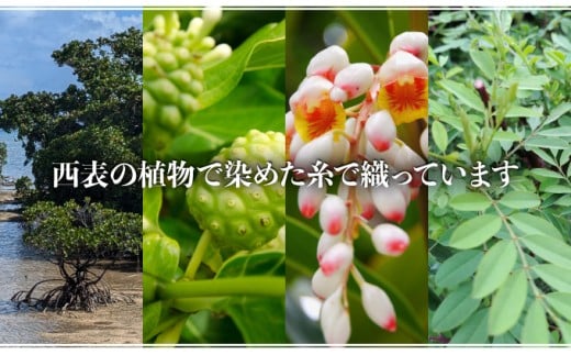 コースター 5枚組【 コースター 西表島 ミンサー ミンサー織り 】