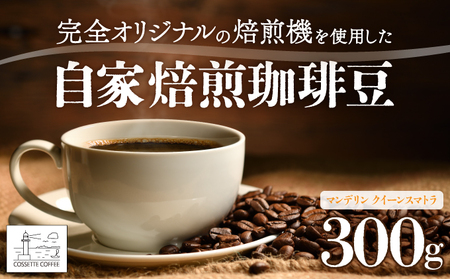 自家焙煎 コーヒー豆 マンデリン クイーンスマトラ 100g×3個セット 300g