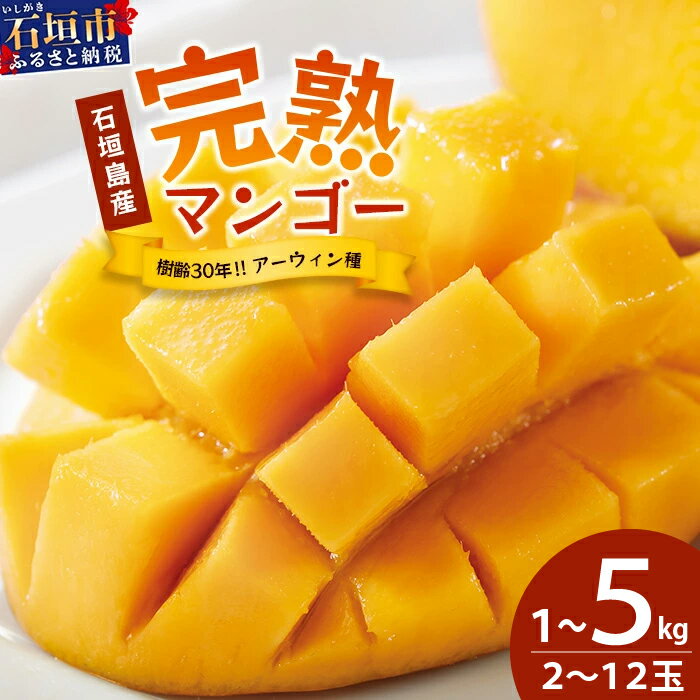【ふるさと納税】＜先行予約＞2026年発送分【通常or訳あり】石垣島産 マンゴー (アーウィン種) 約1〜5kg (2〜12玉) ※箱含め約5kg 《樹齢30年の木で育ったマンゴー》｜産地直送 沖縄 石垣島 マンゴー アーウィン マンゴー フルーツ TP-01 TP-2 TP-03