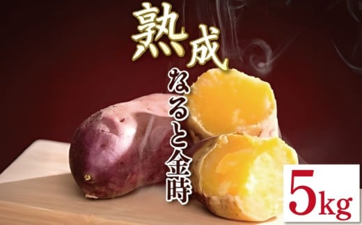 なると金時 5kg Lサイズ 野菜 さつまいも 焼き芋 芋 鳴門金時 なると金時 ヤサイ やさい 食材 新鮮 旬 産地直送 徳島 鳴門