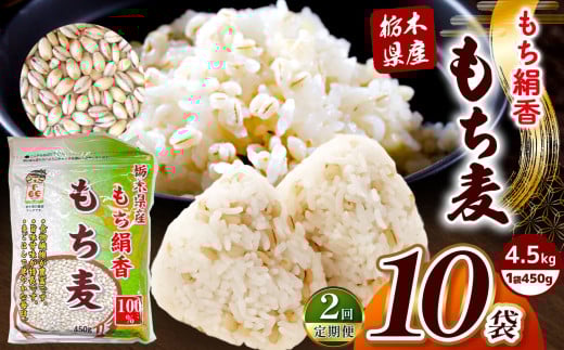 【定期便2回】栃木県産もち麦 4.5kg(450g×10袋) | もち麦 麦 むぎ 栃木県産 もち 大麦 食物繊維 β-グルカン 糖質 ダイエット 腸内環境 栃木県 真岡市 送料無料