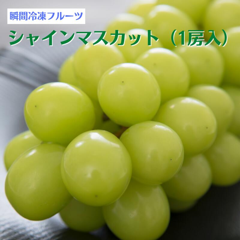 【ふるさと納税】ぶどう シャインマスカット 冷凍 1房