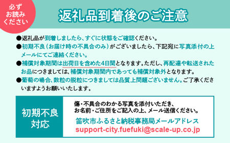 ＜2024年先行予約＞厳選！山梨県笛吹市産 巨峰 約1.0kg（2～3房） 156-011