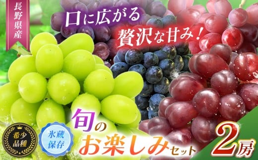【2025年 先行予約】【希少品種・お楽しみセット】【甘みが増す完熟 氷蔵保存】シャインマスカット１房と旬の完熟１房詰め合わせ【11月上旬頃より順次発送予定】 | シャイン ぶどう 葡萄 くだもの 果物 フルーツ マスカット マイハート クイーンルージュ® BKシードレス 富士の輝き 先行 先行予約 氷蔵保存 長野県 塩尻市