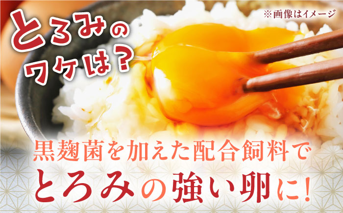 【全6回定期便】熊本県産 熊本そだち 60個入り ( 10個入り × 6パック ) 山都町 たまご 卵【蘇陽農場】 [YBE035]