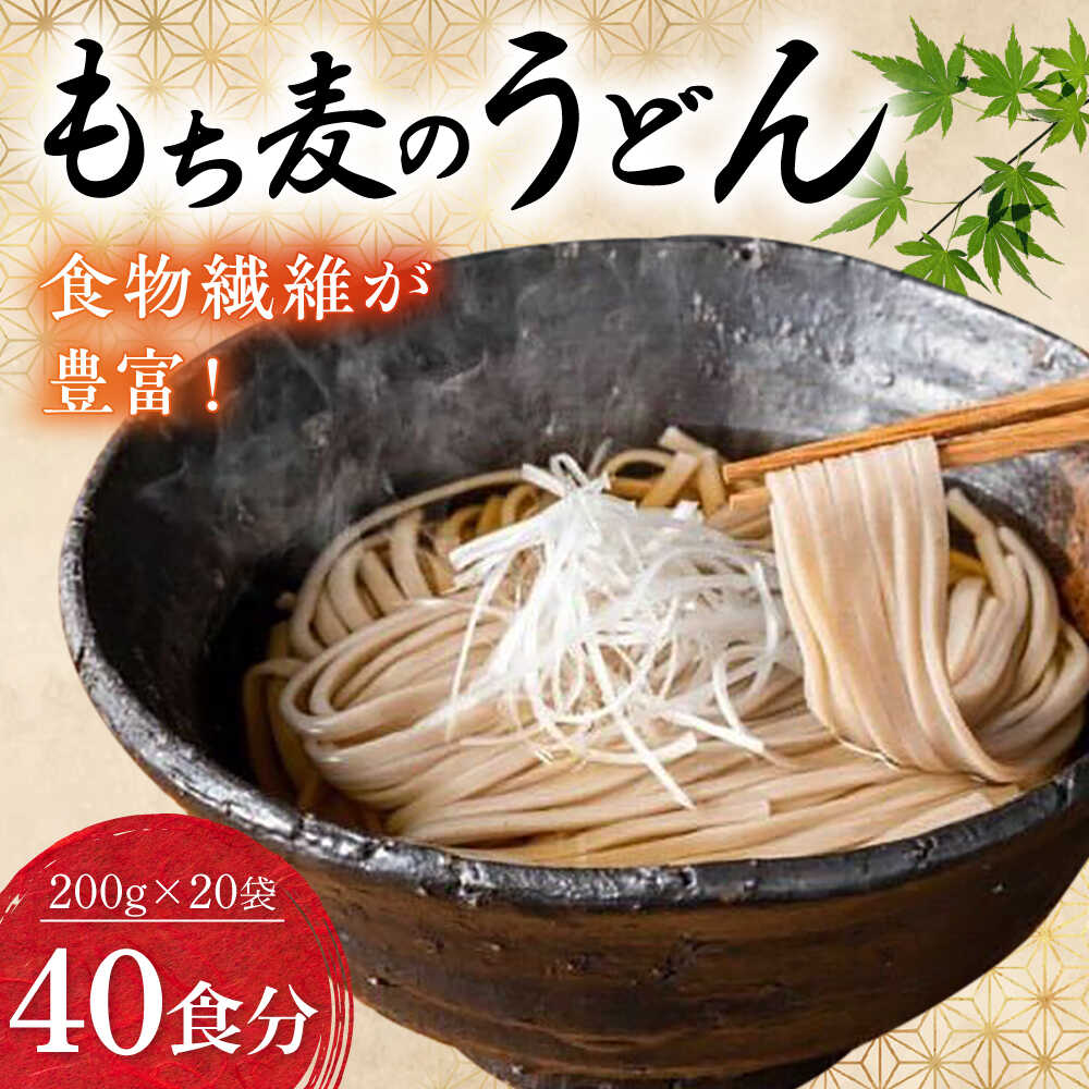 【ふるさと納税】うどん もち麦のうどん(200g×20袋)40食分 / うどん おうどん 麺 乾? 愛媛県産 もち麦 国産小麦 練り込み 常温 長期保存可 詰合せ 食物繊維 もちもち コシ 食感 冷うどん 温うどん ランチ 夜食 / 愛媛県砥部町/五色そうめん株式会社[BJAY001]