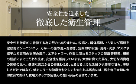 【3ヶ月定期便】赤身馬刺し300g 【純国産熊本肥育】生食用 冷凍《お申込み月の翌月から出荷開始 》送料無料 熊本県 球磨郡 山江村