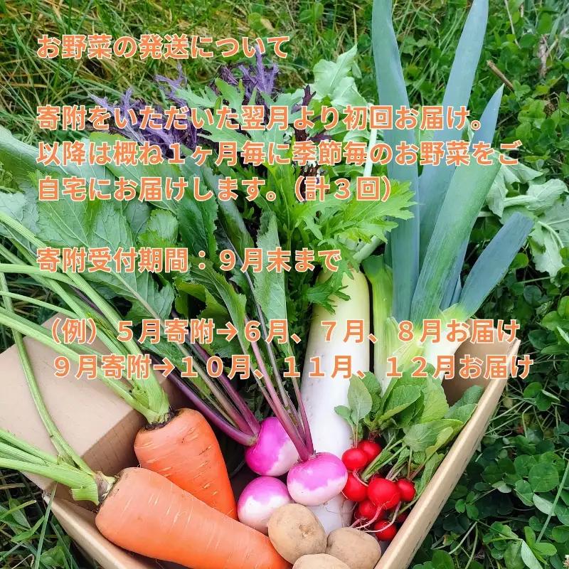 【定期便全3回】朝採れおまかせ旬の高原野菜 7種セット (出荷時期 : 2026年6月～12月／北海道・沖縄県・離島は配送不可) 【 産地直送 高原野菜 産直 季節の旬の野菜 農薬 化学肥料 不使用 