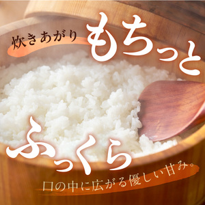 【先行予約】令和8年産 新米 【定期便6回】カワノ農園　MOA自然農法米「森のくまさん」白米10kg 米 無農薬 ブランド米 自然農法プラチナ 白米 カワノ農園 安心 安全 体に優しい 食品 送料無料