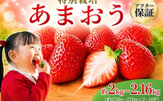 【2027年1月発送予定】【アフター保証】うるう農園特別栽培あまおう約250g~270g×8P (不揃い) 冷蔵 小分け いちご 苺 イチゴ フルーツ 果物 スイーツ くだもの 冬 春 旬 福岡 九州 福岡県 川崎町 数量限定 期間限定