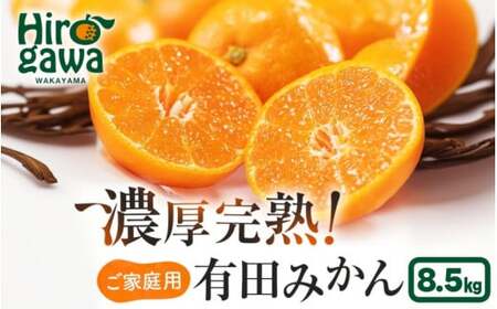 有田育ちの ご家庭用 完熟 有田みかん 5.7kg(5.5kg+200g) 農家直送 わけあり 訳あり ※12月上旬から下旬頃に順次発送予定 / 温州みかん みかん フルーツ 果物  柑橘 くだもの 人気 和歌山 【配送不可地域：北海道・離島・沖縄県】【ard004-c-5d7-12】