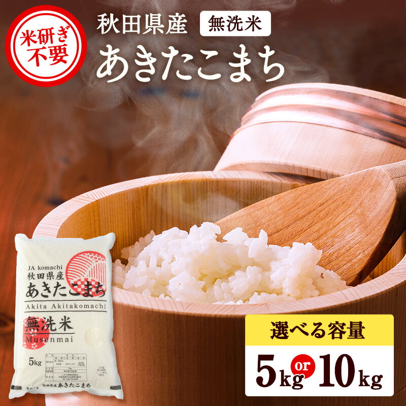 【ふるさと納税】秋田県産あきたこまち（無洗米）【こまち農業協同組合】[H91-2501]