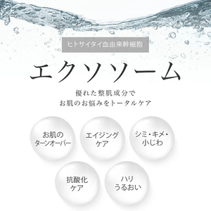 Make.iN EXOSOME + GLUTATHIONE 10Days フェイスマスク 10枚入×5個セット エクソソーム ヒト幹細胞 白玉 グルタチオン セラミド CICA EGF FGF パック